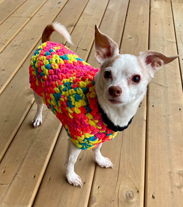 Pawfect pet sweater / hoodie - adjustable size - crochet pattern