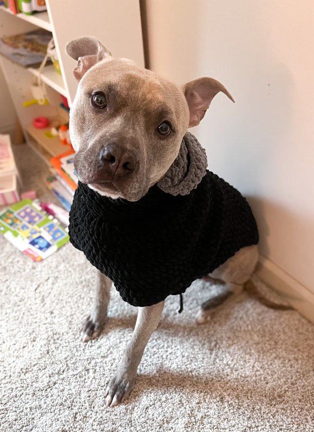 Pawfect pet sweater / hoodie - adjustable size - crochet pattern